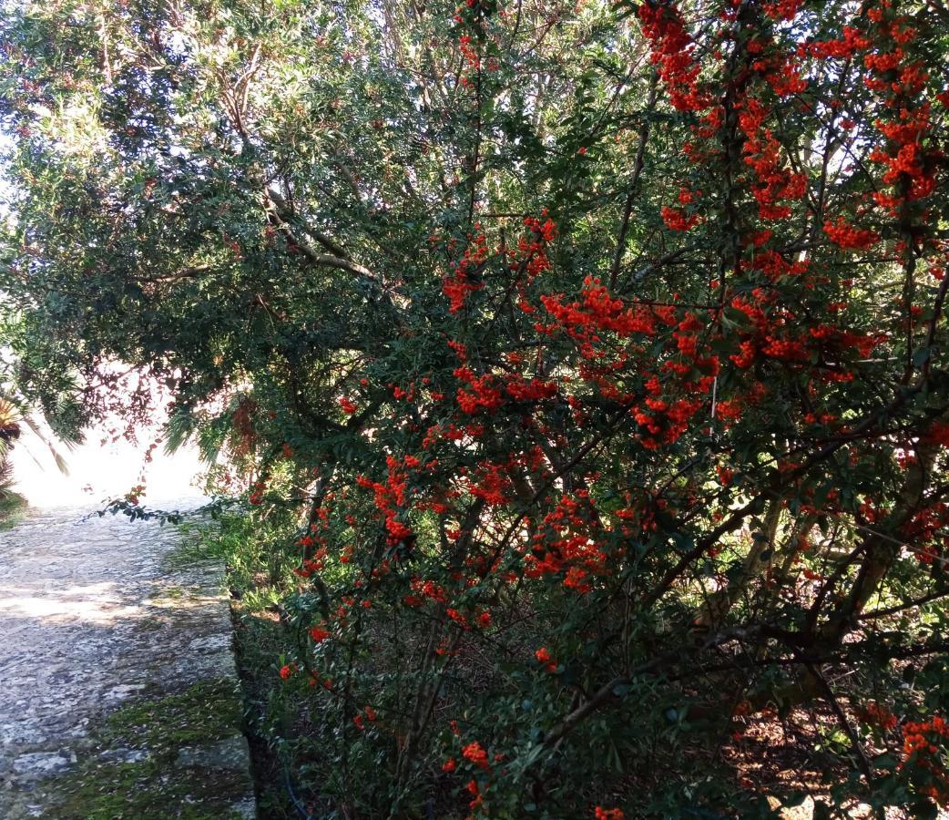 הוילה Tula Agriturismo Pedru Caddu מראה חיצוני תמונה