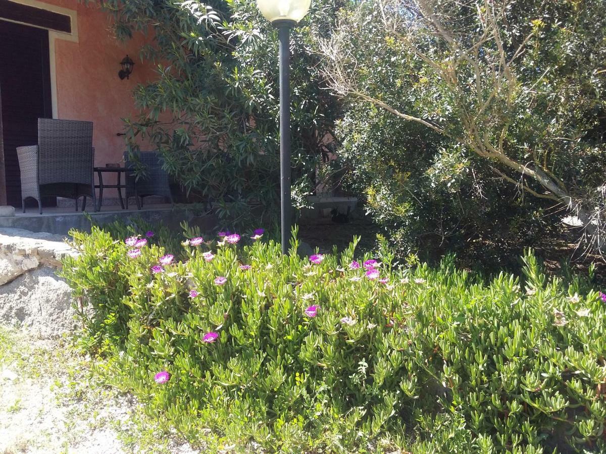 הוילה Tula Agriturismo Pedru Caddu מראה חיצוני תמונה